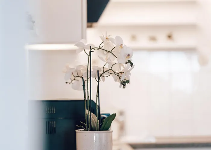 Haus Astrid & Summer Card Zell am See