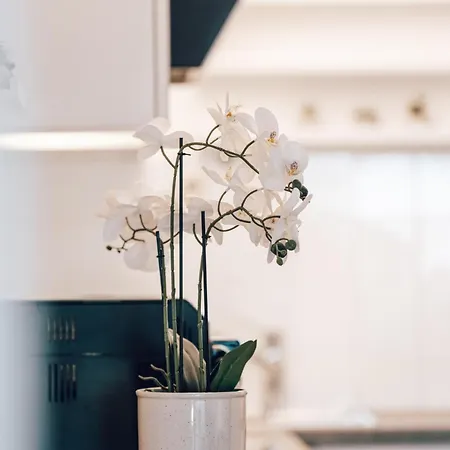 Haus Astrid Zell am See